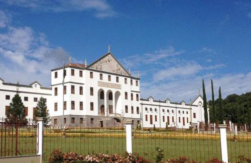 Casa das Palmeiras + Quiosque - Foto 73