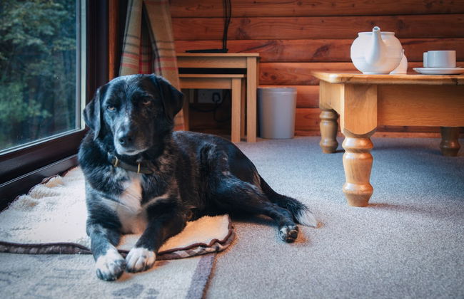 Armadale Castle Cabins - Photo 39