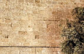 Three Little Birds - Foto 47