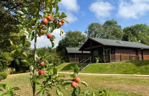 Hollybush Lodges - Foto 43