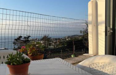 A cas e Rosa - Foto 23