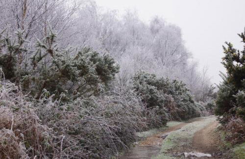 Corner Cottage - character, charm, great location. - Foto 75