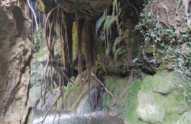 Apartamento rural "LA MUELA" - Photo 54