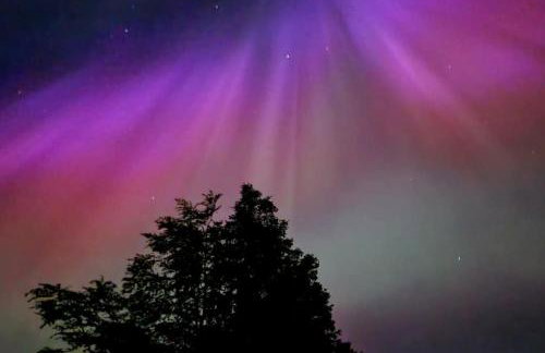 Bracken Cottage - Foto 34