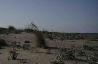 Casa vacanze - Foto 17