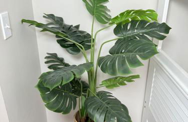 Queen City family-friendly entire house, Charlotte - Foto 47