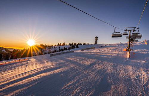 Ferienwohnung "Il Paradiso" in Schluchsee mit Dachterrasse und Seeblick - Foto 25