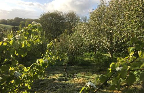 Pit Paddy Barn - Photo 9