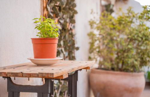 Barranco de las Maravillas - Foto 27