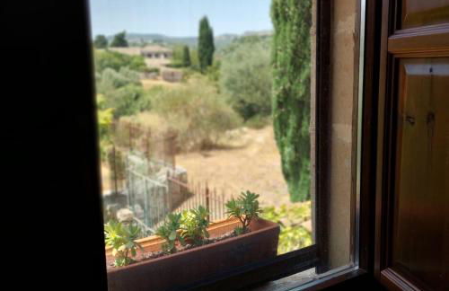 Le Case Di S. Andrea - Foto 3