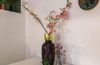 Le jardin de l'hyser - Foto 5
