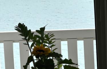 Fürstenhof - Foto 36