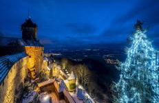 Gite des cigognes - Foto 41