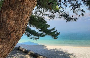 Villa SARA - Photo 17