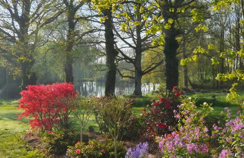 Au Bonheur de la Baie - Four à Pain - Foto 12