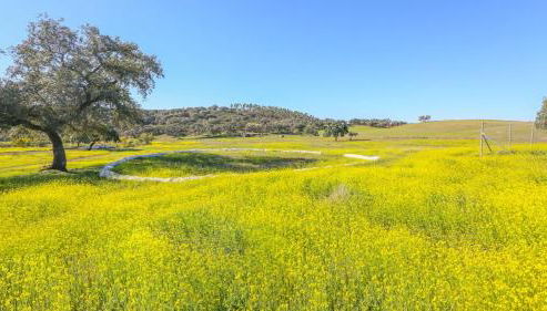 Casa rural el Tejar Higuera de la Sierra by Ruralidays - Foto 4, Other