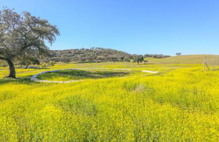 Casa rural el Tejar Higuera de la Sierra by Ruralidays - Foto 4
