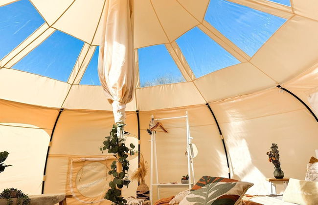 Erw Glas Glamping and Camping - Photo 61