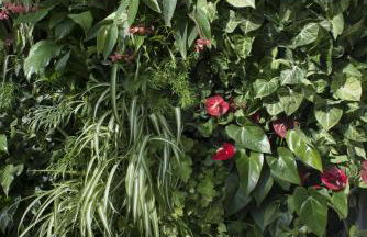 Domitys Les Cigales du Lubéron - Foto 21