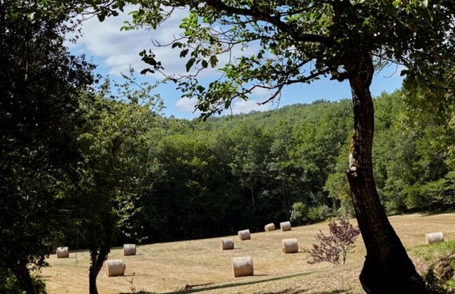 Le Gîte étoilé - Foto 24