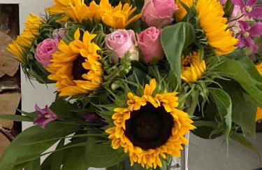 The Starry Rock - Foto 1