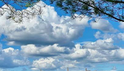 Agriturismo La Terrazza sul Mangia - Foto 2