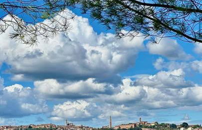 Agriturismo La Terrazza sul Mangia - Foto 2