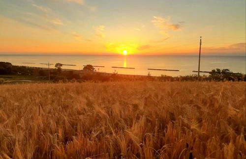 Bio Agriturismo Mare in Campagna - Foto 60