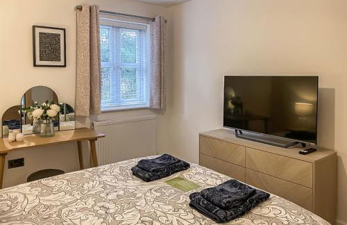 Forest Acorn - Foto 11