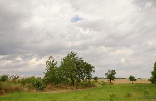 Nature Escape in Meisdorf - Foto 30