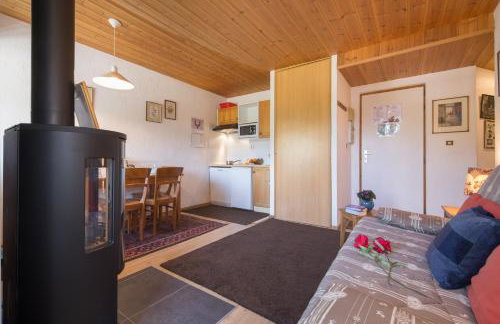 Résidence Igloo 3 ski in-ski out - Happy Rentals - Foto 12