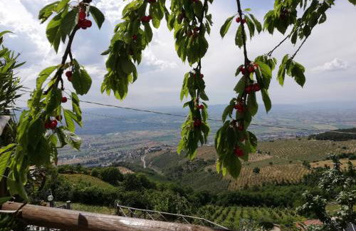 Casa Galoppa - Foto 80