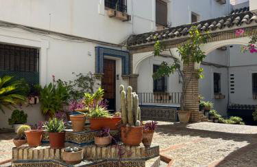 El Patio De La Aljama - Foto 1