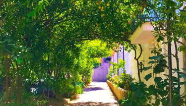 Dépendance La Casetta - Foto 2, Garden, Garden view