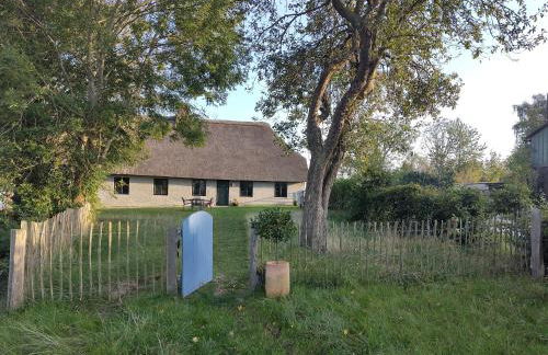 Alte Schmiede - Foto 5