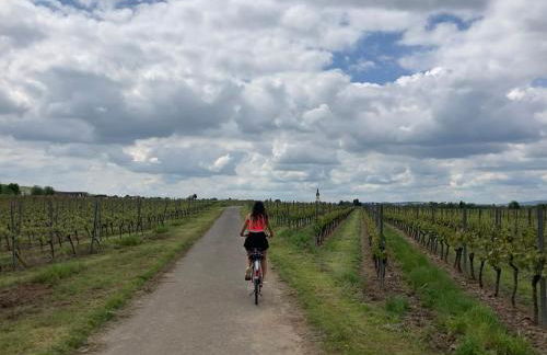 Heni Apartments - Foto 16