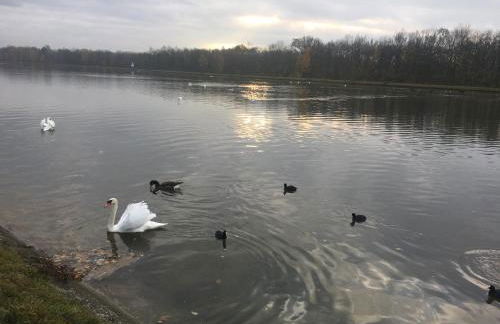 Klosterberghaus - Kontaktloser Check-in - Foto 32
