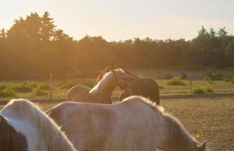 Villetta nel cuore del Salento - Foto 13