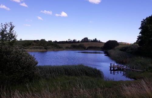 Ferienwohnung und Gästezimmer im Gutshaus Alt-Krassow - Foto 4