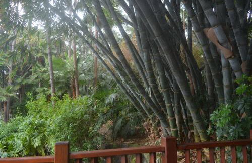 THE TEIDES WINDOW swimming pool LA VENTANA DEL TEIDE - Foto 41