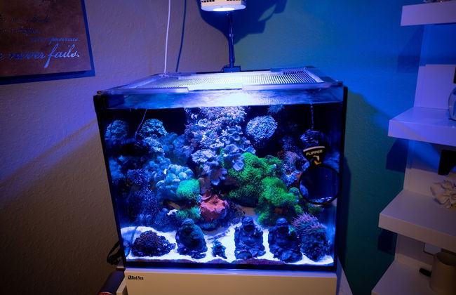 Gorgeous Urban Oasis W/hot Tub, Heated Pool And Private Movie Theater 3 Bedroom Home by RedAwning - Foto 63