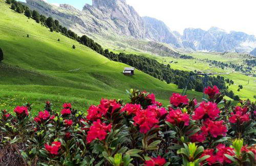 Alpine Chalet CESA VEDLA -nature & silence - Foto 33