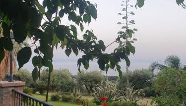 Agriturismo Parco degli Ulivi - Photo 2