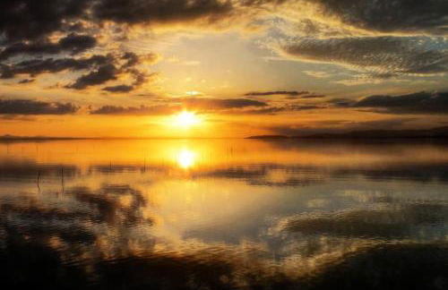 Le Rondini - Photo 20