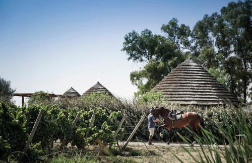 Is Cheas wine farm boutique hotel - Foto 53