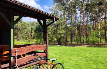 Pożarowo domek na mazowszu - Foto 10