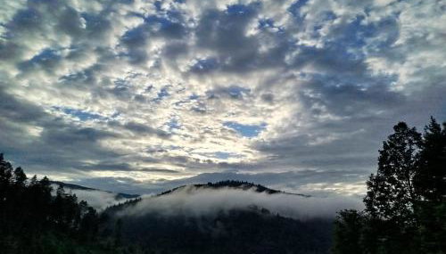 Ferienwohnung Gaby Lehmann - Foto 3