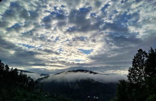 Ferienwohnung Gaby Lehmann - Photo 3