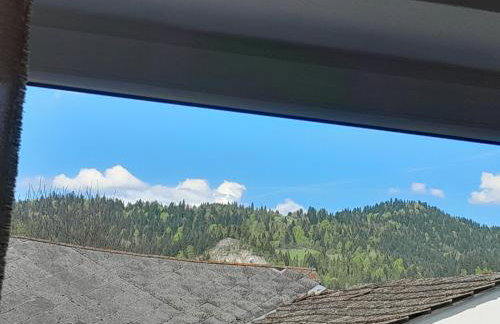 Apartament w Pieninach - Foto 3