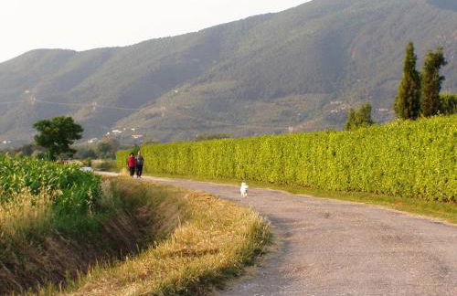 Agriturismo La Pisana - Foto 109